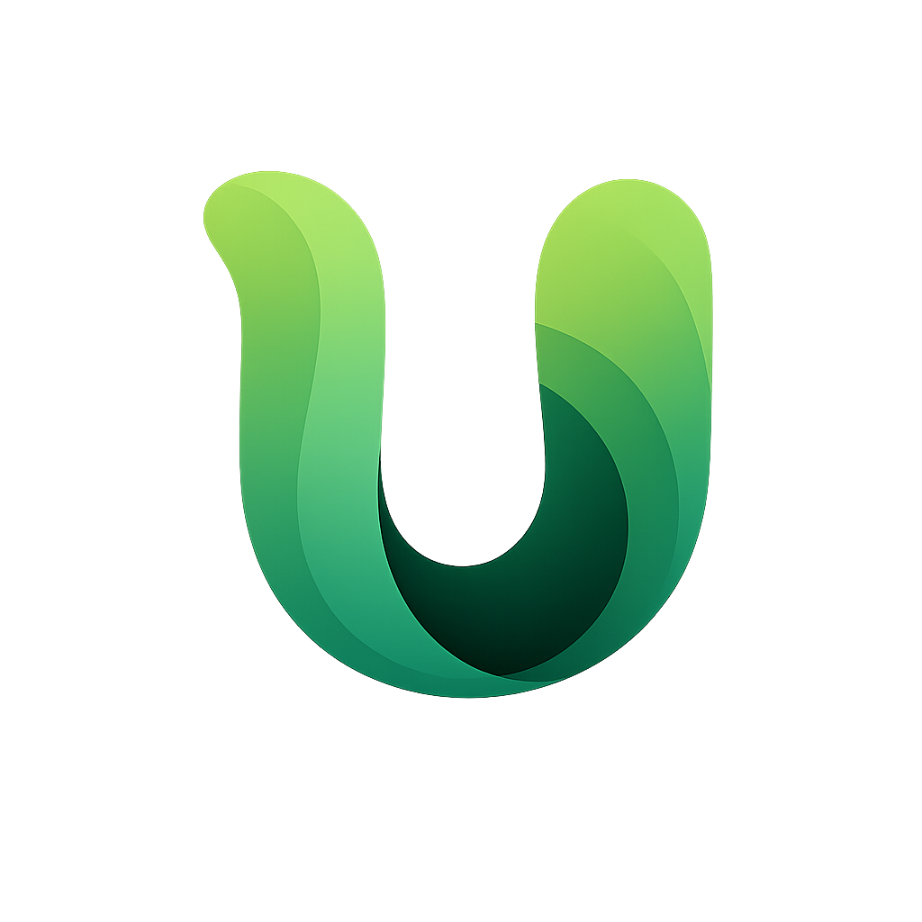 uSAY Interface